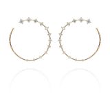 Fernando Jorge Earrings