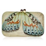 Silvia Furmanovich Clutch